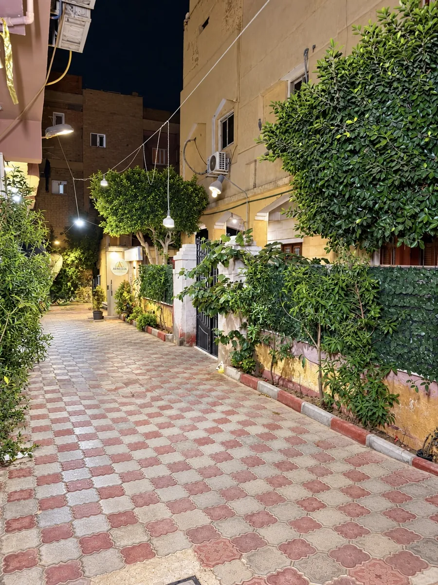 Paved lane with trees and lanterns leading to the illuminated Aurelia Pyramids logo